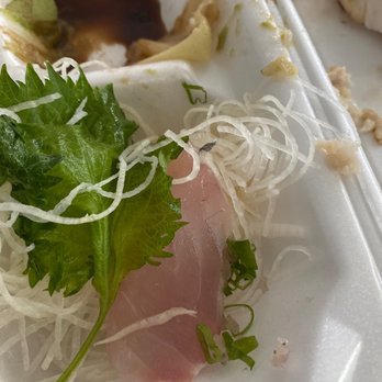 Yanagi - TUNA TATAKI SASHIMI - Sushi Bars Near Me - Austin, Texas Yanagi - TUNA TATAKI SASHIMI - Sushi Bars Near Me - Austin, Texas