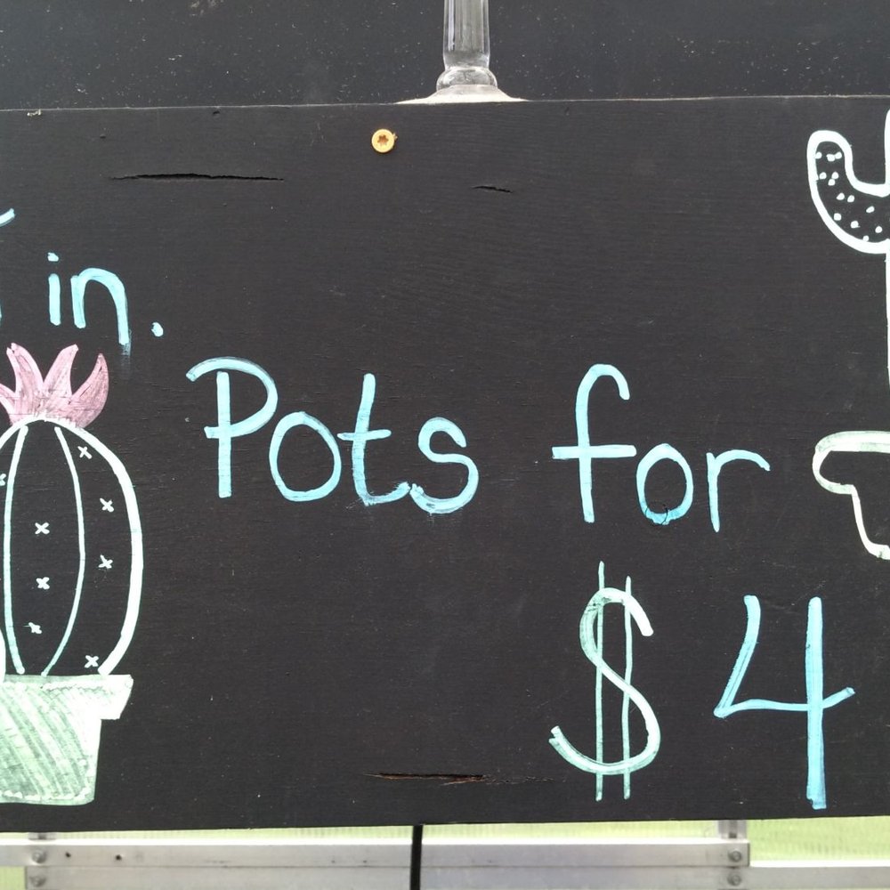 Old School Produce - Cactus prices $4 for a cool succulent - Nurseries & Gardening Near Me - Houston, Texas Old School Produce - Cactus prices $4 for a cool succulent - Nurseries & Gardening Near Me - Houston, Texas