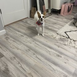 Yoon’s Grooming - Our Roxie