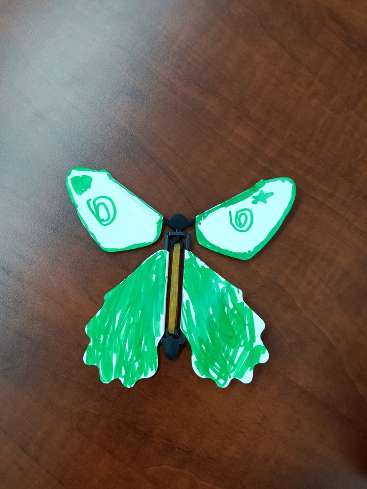 Community Advocacy Awareness Network - social services organization in Aurora, IL