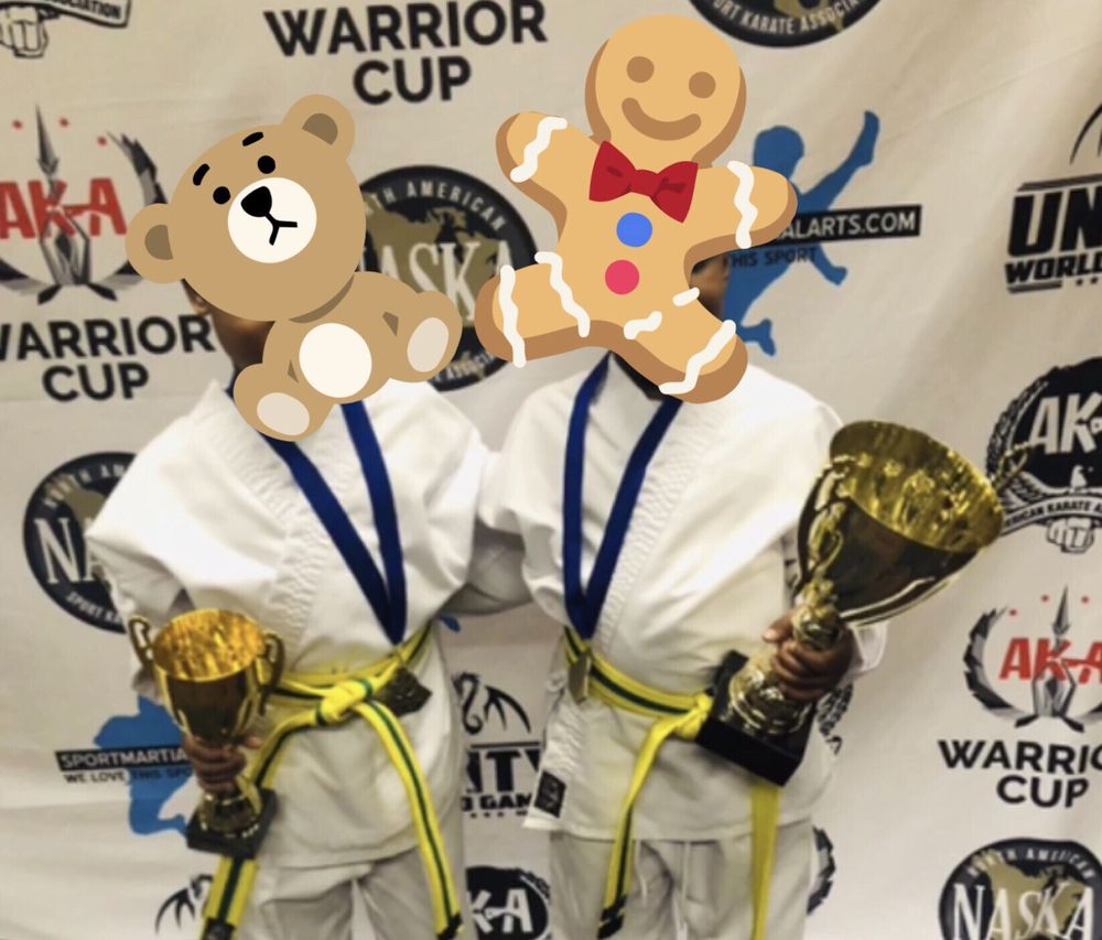 NEXT LEVEL MARTIAL ARTS 8168 Mall Pkwy, Stonecrest, Martial