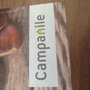 Photo of Campanile -Toison d'Or