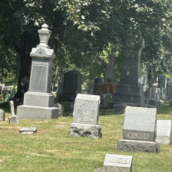 Forest Lawn - Deer - Funeral Services & Cemeteries Near Me - Buffalo, New York