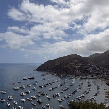 Avalon Local Tours - Tours Near Me