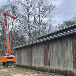 Stump N Grind - Removing a dangerous
Water Oak near Norris Oaks Venue