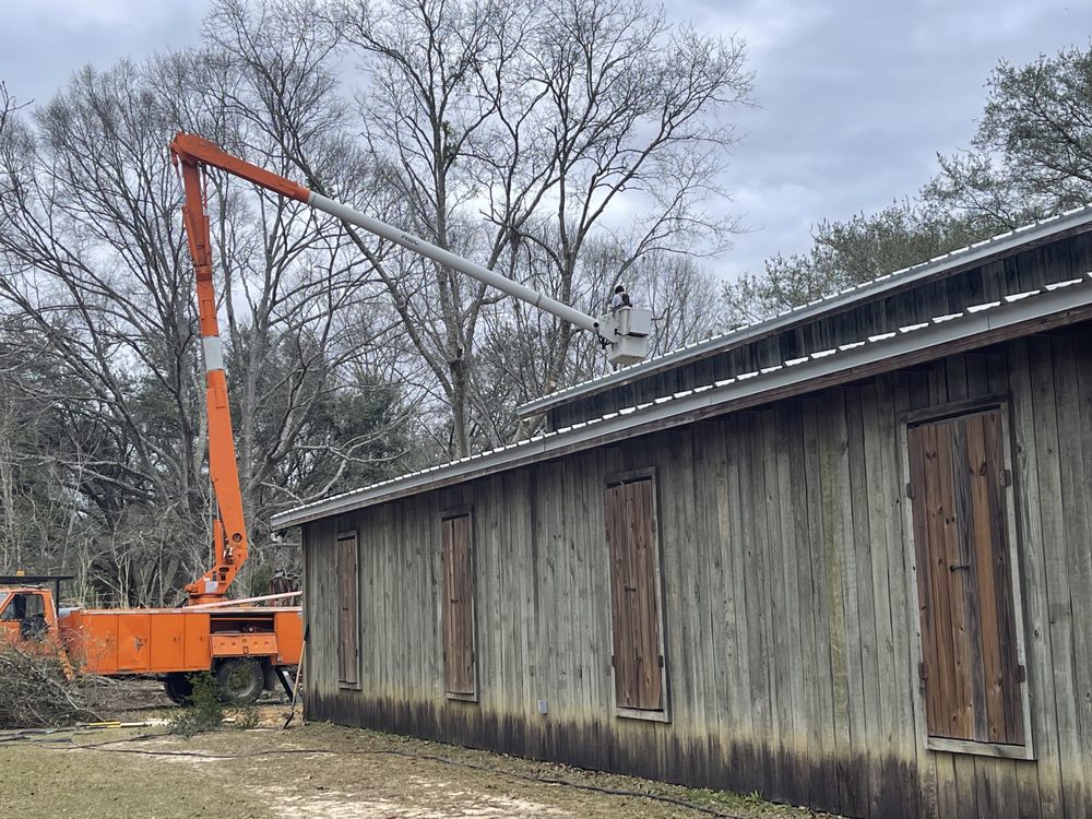 Stump N Grind - tree service in Diamondhead, MS