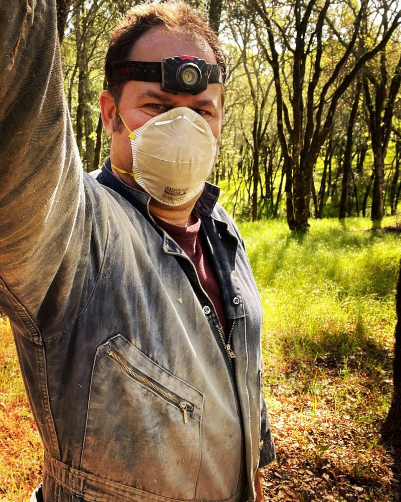 LOMAX TERMITE CONTROL Updated October 2024 12 Photos & 50 Reviews