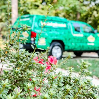 Noosa Pest Management - Pest Control Near Me - Tega Cay, South Carolina Noosa Pest Management - Pest Control Near Me - Tega Cay, South Carolina