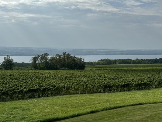 Lamoreaux Landing Wine Cellars by null