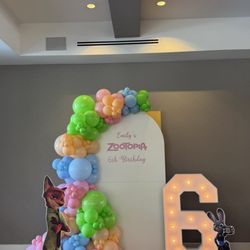 Boom Balloon - Zootopia Themed Birthday Decor