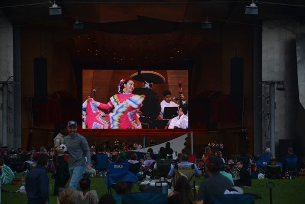 Jay Pritzker Pavilion by null