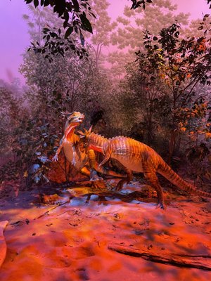 Denver Museum of Nature & Science by null