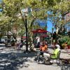 Tucker Square Greenmarket gift card
