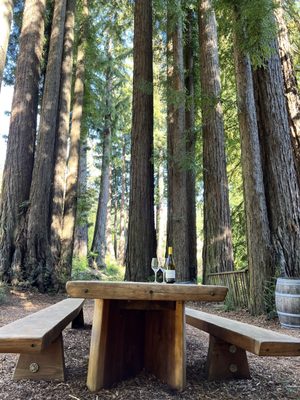 Beauregard Vineyards by null