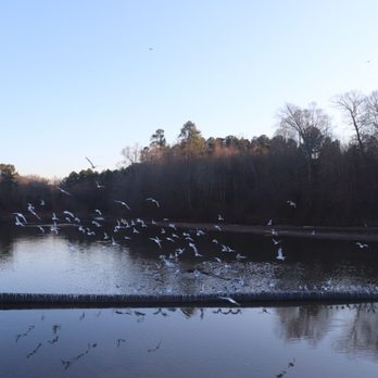 Lake Crabtree County Park - Parks Near Me - Morrisville, North Carolina Lake Crabtree County Park - Parks Near Me - Morrisville, North Carolina