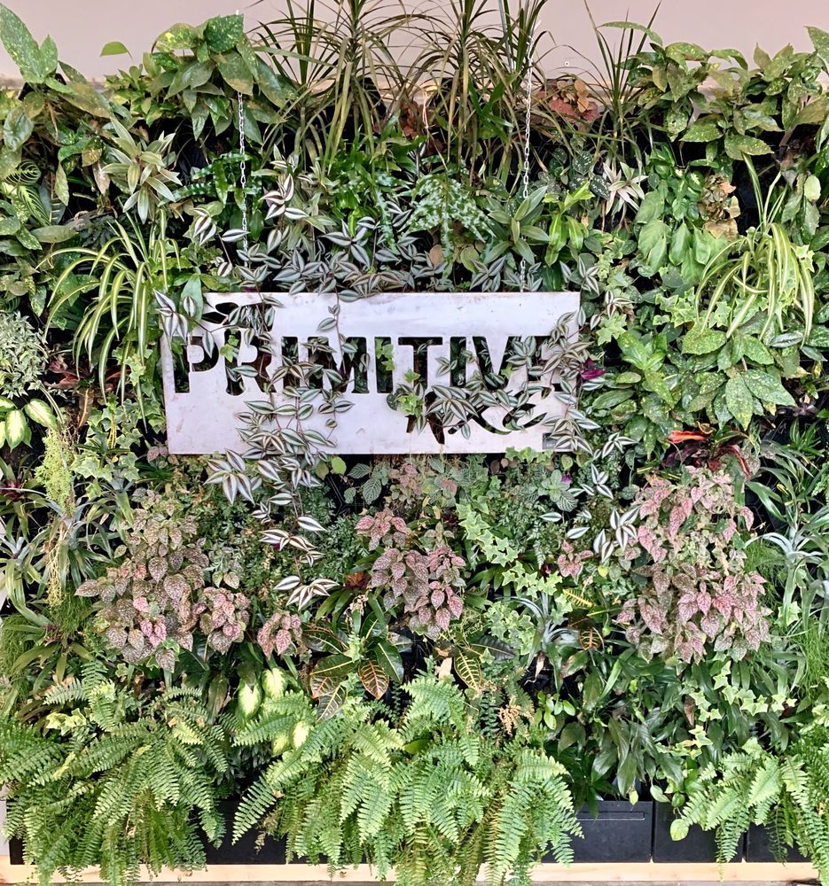 PRIMITIVE AXE Axe Throwing 618 N Delsea Dr, Glassboro, NJ Phone