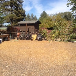 Hollinshead Park Community Garden - Wheelbarrows to assist in loading, etc.