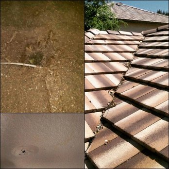 1. Taylor Made Inspection Service