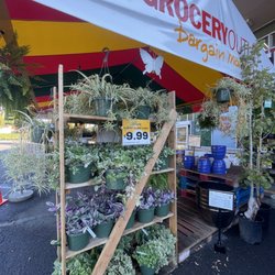 Grocery Outlet - Great price on hanging plants