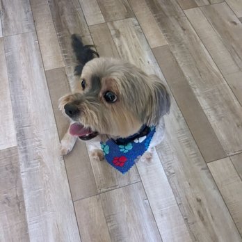 Paws R Us - Pet Groomers Near Me - Fresno, California Paws R Us - Pet Groomers Near Me - Fresno, California