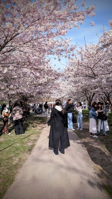 Trinity-Bellwoods by null