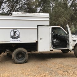 Black Bear Tree Service