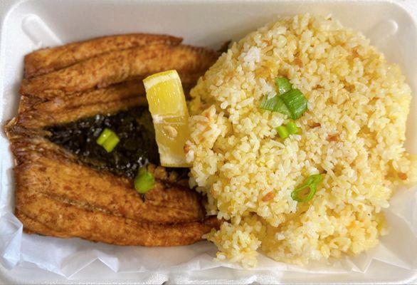 Bright Light by null