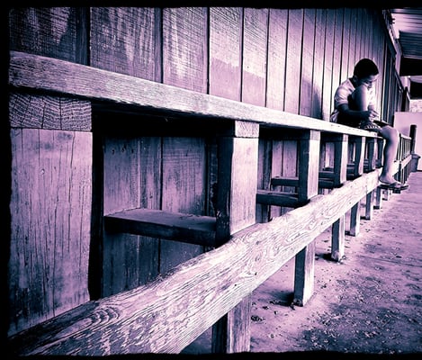 Hills & Dales Ice House by null