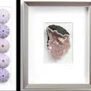 Hyde Art - Pheromone by Christopher Marley - Art Galleries Near Me - Sausalito, California Hyde Art - Pheromone by Christopher Marley - Art Galleries Near Me - Sausalito, California