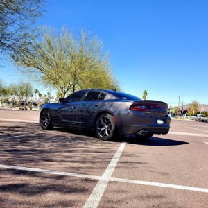 CACTUS WINDOW TINTING - Updated September 2024 - 213 Photos & 302 Reviews - 8295 E Raintree Dr G ...