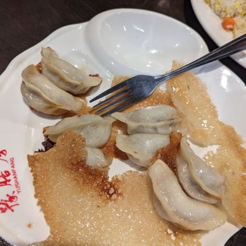 Uncle Zhou - Pork and Chives Dumpling - Chinese Near Me - Plano, Texas Uncle Zhou - Pork and Chives Dumpling - Chinese Near Me - Plano, Texas