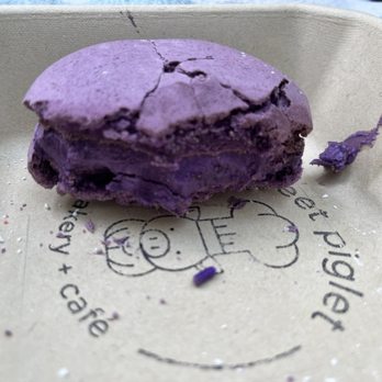 Sweet Piglet Bakery Cafe - Purple Macaron was good - Bakeries Near Me - Randolph, Massachusetts Sweet Piglet Bakery Cafe - Purple Macaron was good - Bakeries Near Me - Randolph, Massachusetts