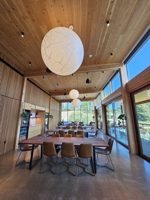 Elk Cove Vineyards by null