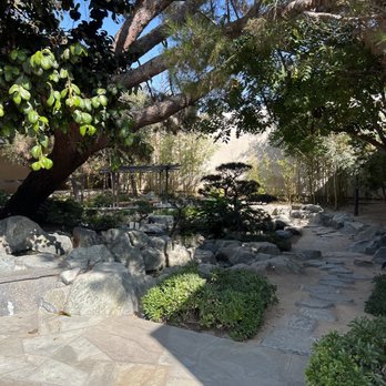 Pine Wind Garden - Garden - Botanical Gardens Near Me - Torrance, California