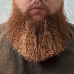 Mens Lounge Barbershop - Received