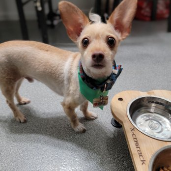 Happy Paw Salon - Pet Groomers Near Me - Orange, California Happy Paw Salon - Pet Groomers Near Me - Orange, California