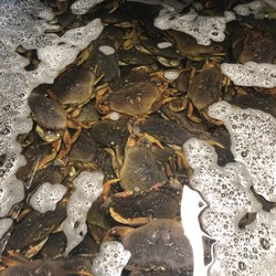 Norcal Seafood - Dungeness