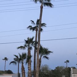 Worthy Opponents Maintenance