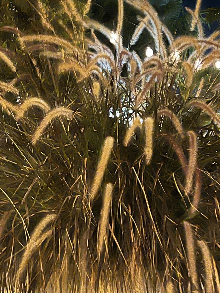 Mulino Italian Kitchen & Bar