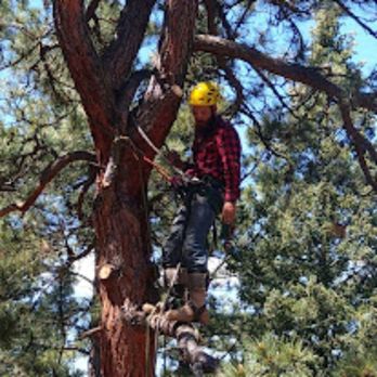 J & H Tree Service - Tree Services Near Me - Castle Rock, Colorado J & H Tree Service - Tree Services Near Me - Castle Rock, Colorado