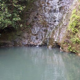 The falls