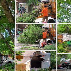 J & M Services - Joey's crew hard a work.