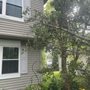 Photo of AAA Tree & Landscaping