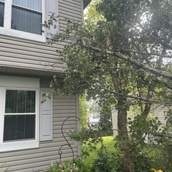 AAA Tree & Landscaping