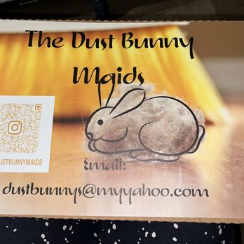 The Dust Bunny Maids - Home Cleaning Near Me The Dust Bunny Maids - Home Cleaning Near Me
