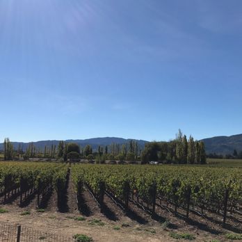 ZD Wines - The vineyard - Wineries Near Me - Napa, California ZD Wines - The vineyard - Wineries Near Me - Napa, California