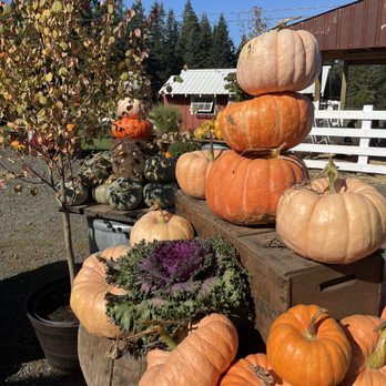 Dolan Creek Farm - Fall vibes - Pumpkin Patches Near Me - Boring, Oregon Dolan Creek Farm - Fall vibes - Pumpkin Patches Near Me - Boring, Oregon