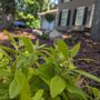 Photo of Coob's Landscaping