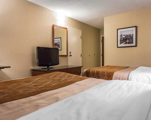 Comfort Inn Hwy 401 27 Photos Hotels 55 Warne Crescent