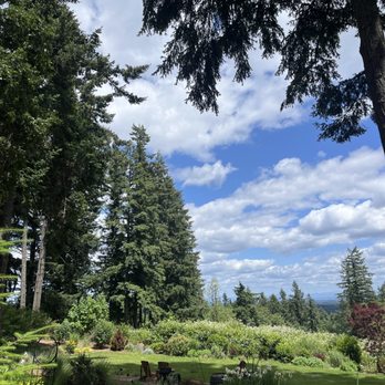 Campbell Lane Winery - Land to walk - Wine Tasting Room Near Me - West Linn, Oregon Campbell Lane Winery - Land to walk - Wine Tasting Room Near Me - West Linn, Oregon